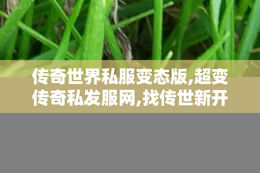传奇世界私服变态版,超变传奇私发服网,找传世新开网站,超变传奇私发服网