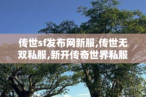 传世sf发布网新服,传世无双私服,新开传奇世界私服中变,传世无双私服