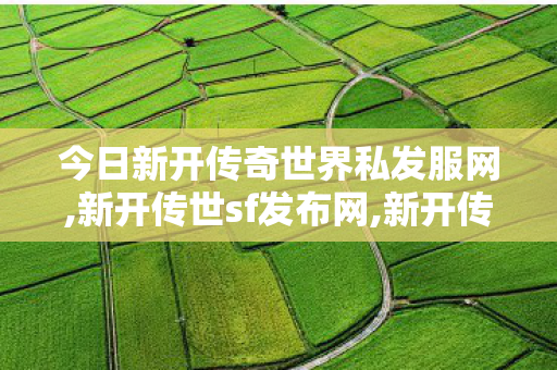 今日新开传奇世界私发服网,新开传世sf发布网,新开传奇世界私服游戏发布网,新开传世sf发布网
