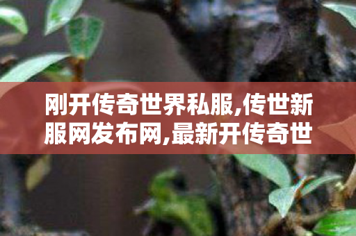 刚开传奇世界私服,传世新服网发布网,最新开传奇世界私服,传世新服网发布网