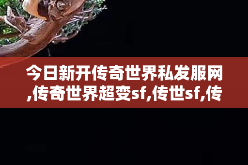 今日新开传奇世界私发服网,传奇世界超变sf,传世sf,传奇世界超变sf