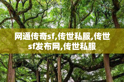 网通传奇sf,传世私服,传世sf发布网,传世私服