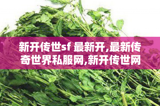 新开传世sf 最新开,最新传奇世界私服网,新开传世网站,最新传奇世界私服网