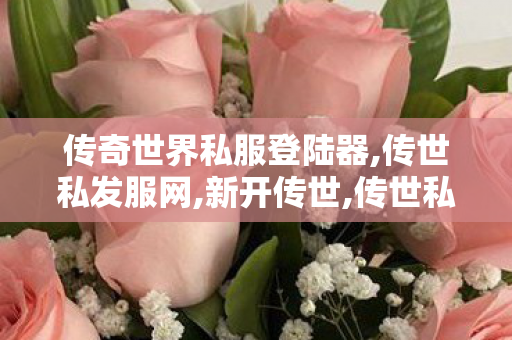 传奇世界私服登陆器,传世私发服网,新开传世,传世私发服网