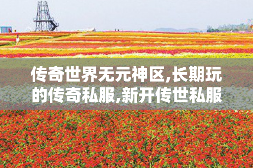 传奇世界无元神区,长期玩的传奇私服,新开传世私服有元神,长期玩的传奇私服