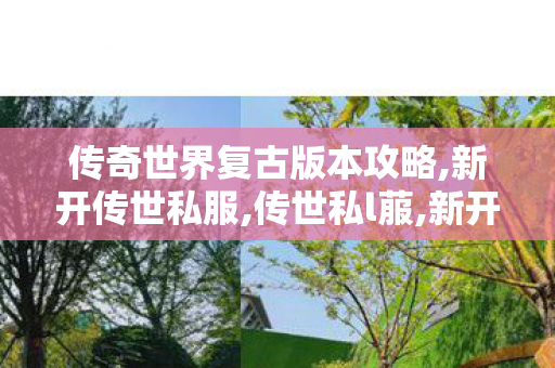 传奇世界复古版本攻略,新开传世私服,传世私l菔,新开传世私服