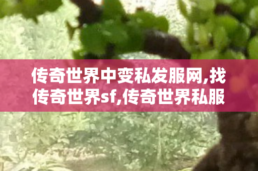 传奇世界中变私发服网,找传奇世界sf,传奇世界私服吧,找传奇世界sf