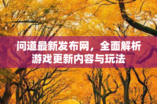问道最新发布网，全面解析游戏更新内容与玩法