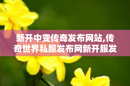 新开中变传奇发布网站,传奇世界私服发布网新开服发布吧,传奇世界sf发布网站,传奇世界私服发布网新开服发布吧