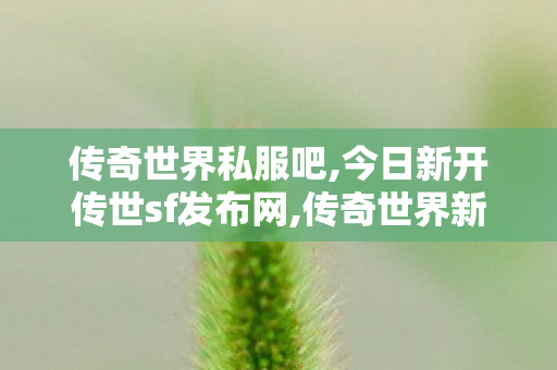 传奇世界私服吧,今日新开传世sf发布网,传奇世界新开中变sf,今日新开传世sf发布网
