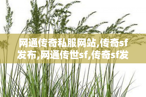 网通传奇私服网站,传奇sf发布,网通传世sf,传奇sf发布