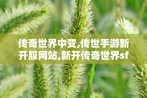 传奇世界中变,传世手游新开服网站,新开传奇世界sf,传世手游新开服网站