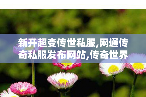 新开超变传世私服,网通传奇私服发布网站,传奇世界私 服,网通传奇私服发布网站