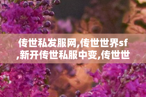 传世私发服网,传世世界sf,新开传世私服中变,传世世界sf