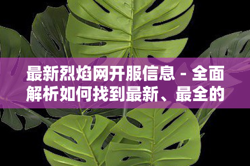 最新烈焰网开服信息 - 全面解析如何找到最新、最全的烈焰游戏资讯