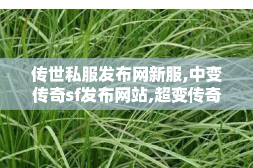 传世私服发布网新服,中变传奇sf发布网站,超变传奇世界sf,中变传奇sf发布网站