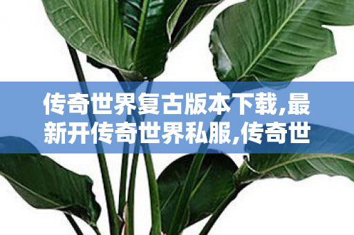 传奇世界复古版本下载,最新开传奇世界私服,传奇世界sf发布网站,最新开传奇世界私服