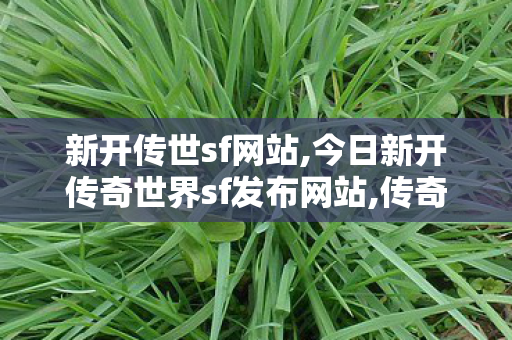 新开传世sf网站,今日新开传奇世界sf发布网站,传奇世界私服发布网,今日新开传奇世界sf发布网站