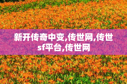 新开传奇中变,传世网,传世sf平台,传世网