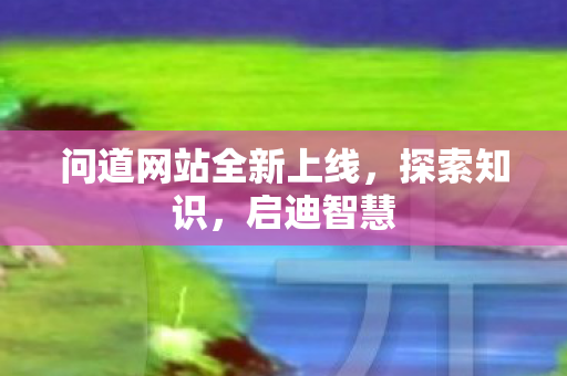 问道网站全新上线，探索知识，启迪智慧