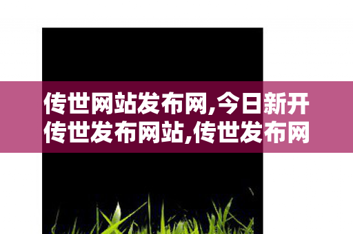 传世网站发布网,今日新开传世发布网站,传世发布网,今日新开传世发布网站