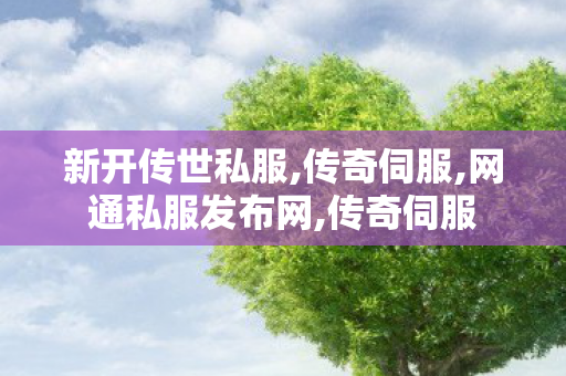 新开传世私服,传奇伺服,网通私服发布网,传奇伺服