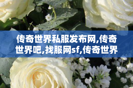 传奇世界私服发布网,传奇世界吧,找服网sf,传奇世界吧
