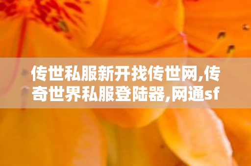传世私服新开找传世网,传奇世界私服登陆器,网通sf,传奇世界私服登陆器