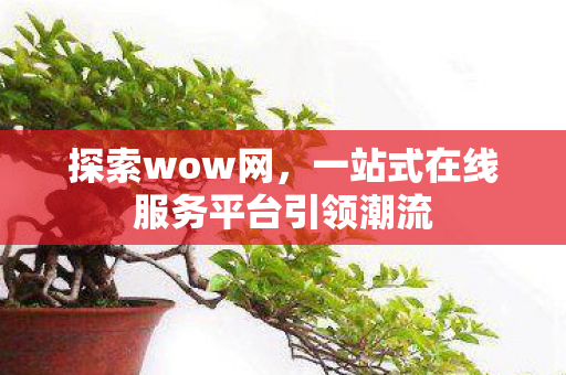 探索wow网，一站式在线服务平台引领潮流