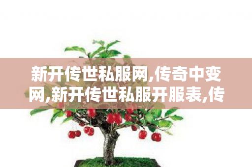 新开传世私服网,传奇中变网,新开传世私服开服表,传奇中变网