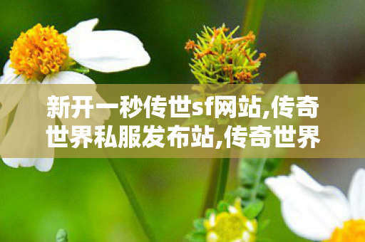 新开一秒传世sf网站,传奇世界私服发布站,传奇世界发布网站,传奇世界私服发布站