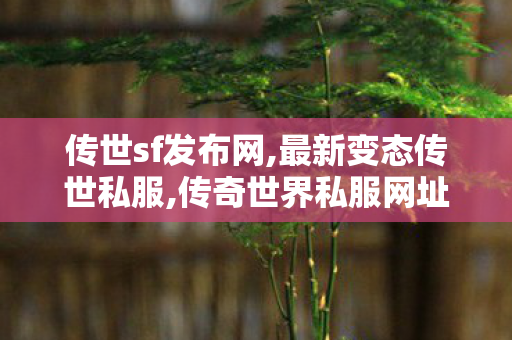 传世sf发布网,最新变态传世私服,传奇世界私服网址,最新变态传世私服