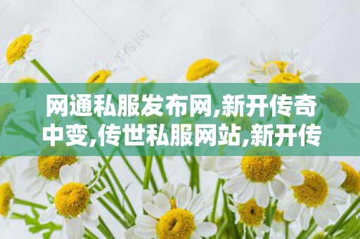 网通私服发布网,新开传奇中变,传世私服网站,新开传奇中变