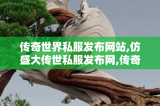 传奇世界私服发布网站,仿盛大传世私服发布网,传奇世界私服,新开私服,仿盛大传世私服发布网