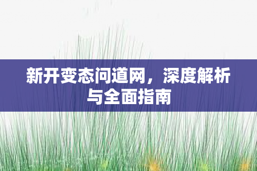 新开变态问道网，深度解析与全面指南