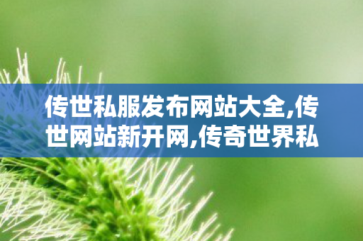 传世私服发布网站大全,传世网站新开网,传奇世界私服,新开传世sf,传世网站新开网