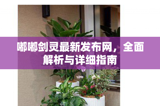 嘟嘟剑灵最新发布网，全面解析与详细指南