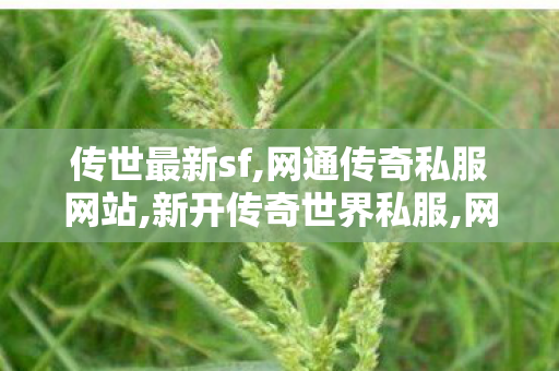 传世最新sf,网通传奇私服网站,新开传奇世界私服,网通传奇私服网站