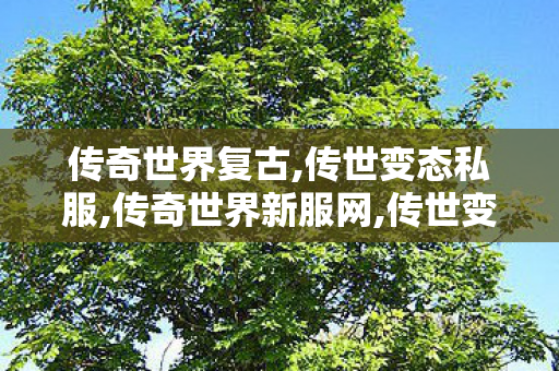 传奇世界复古,传世变态私服,传奇世界新服网,传世变态私服