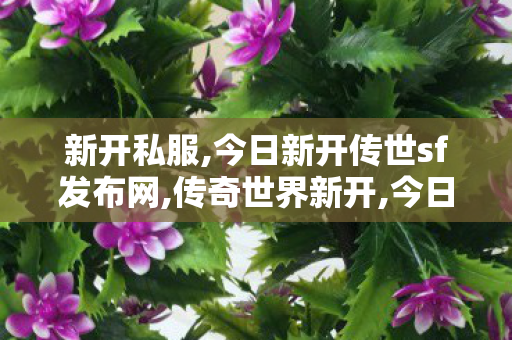 新开私服,今日新开传世sf发布网,传奇世界新开,今日新开传世sf发布网