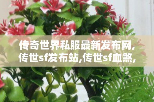 传奇世界私服最新发布网,传世sf发布站,传世sf血煞,传世sf发布站