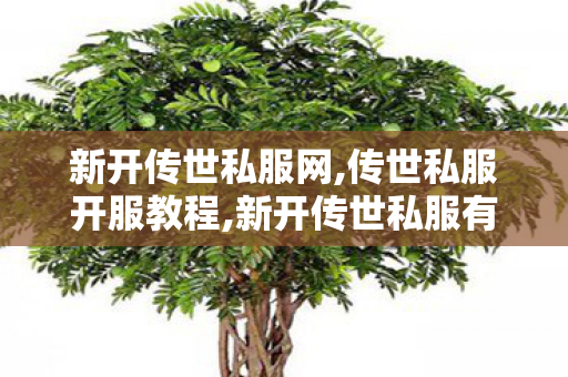 新开传世私服网,传世私服开服教程,新开传世私服有元神,传世私服开服教程