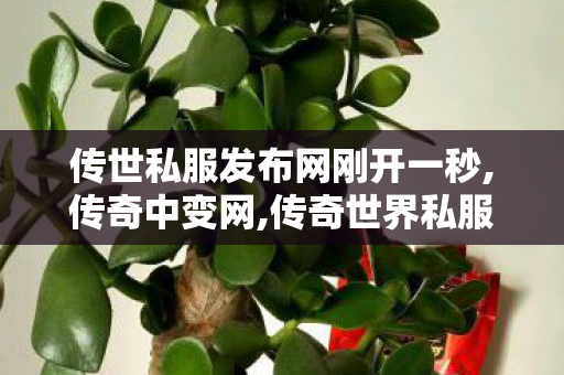 传世私服发布网刚开一秒,传奇中变网,传奇世界私服新开传世私服发布网,传奇中变网