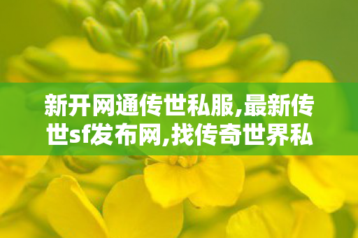 新开网通传世私服,最新传世sf发布网,找传奇世界私服,最新传世sf发布网
