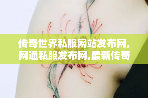 传奇世界私服网站发布网,网通私服发布网,最新传奇世界私服网,网通私服发布网