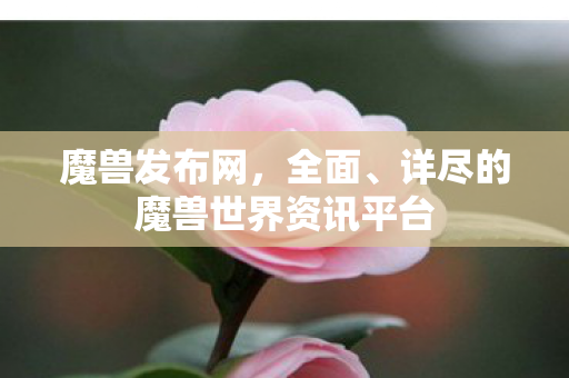 魔兽发布网，全面、详尽的魔兽世界资讯平台