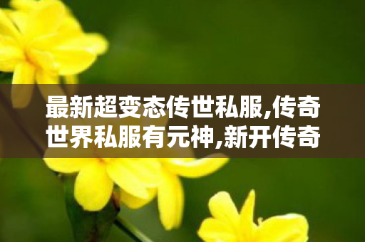 最新超变态传世私服,传奇世界私服有元神,新开传奇世界私服,传奇世界私服有元神