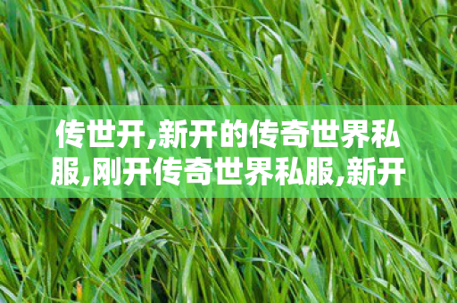 传世开,新开的传奇世界私服,刚开传奇世界私服,新开的传奇世界私服