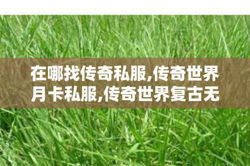 在哪找传奇私服,传奇世界月卡私服,传奇世界复古无元神,传奇世界月卡私服