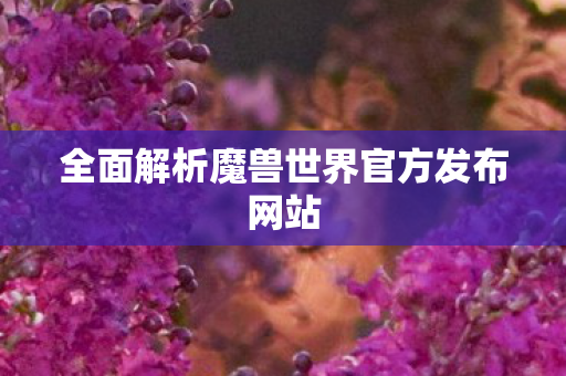 全面解析魔兽世界官方发布网站